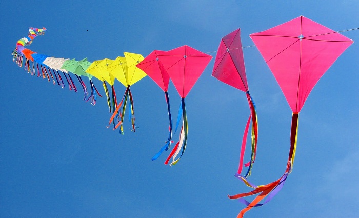 Makar Sankranti- The Indian Harvest Festival