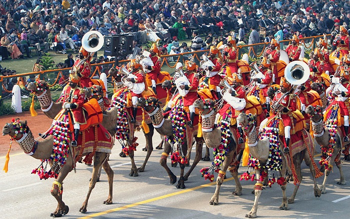 Republic Day (26 January) Parade