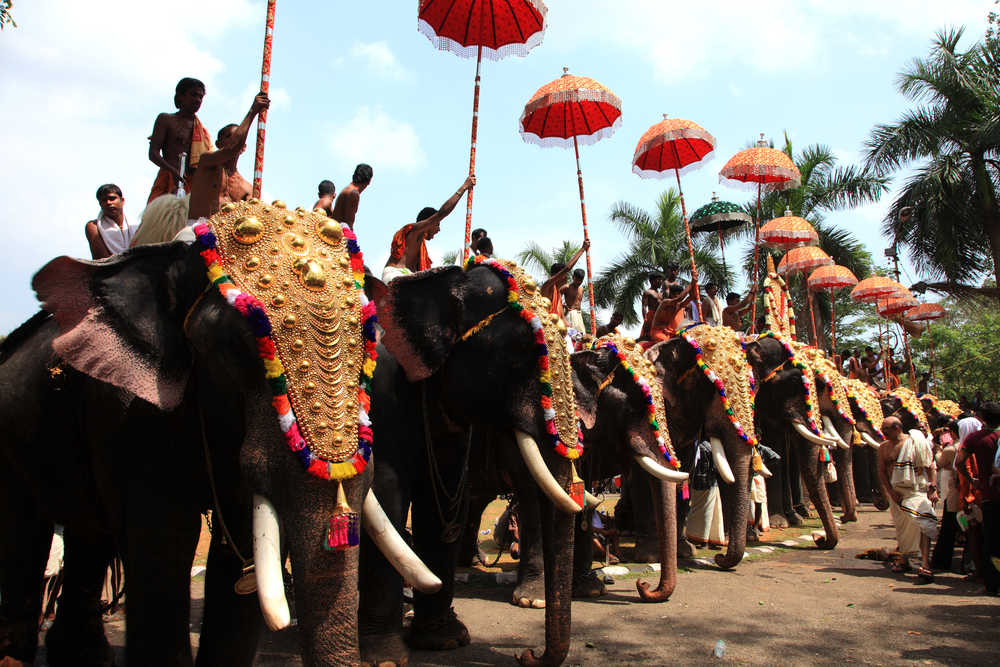 kerala attend a temple festival