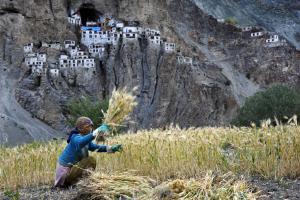 Phuktal Monastery, Zanskar