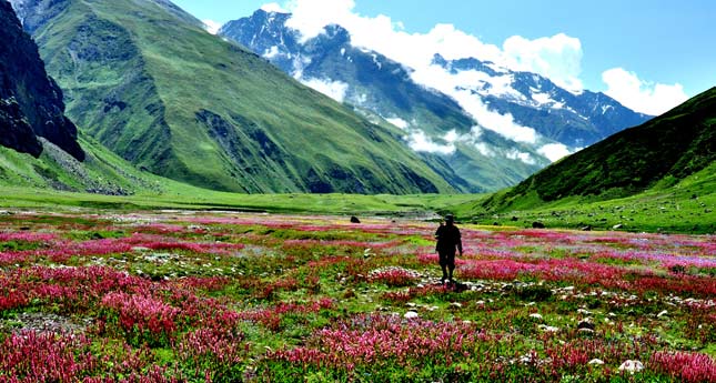10-best-places-for-nature-lovers-in-india
