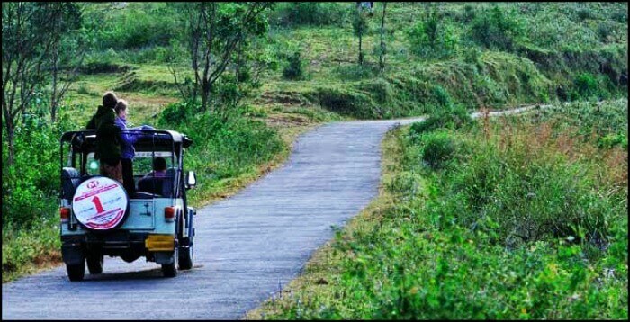 Take the Periyar Jungle Jeep Ride