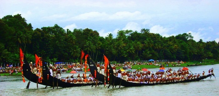 Watch the Snake Boat Races