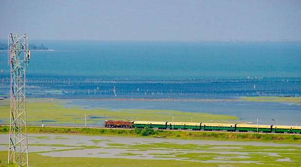 Hues and Views of Chilika