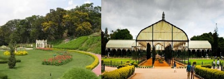 Lalbagh and Brindavan Gardens