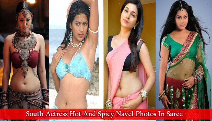 South Actress Hot And Spicy Navel Photos In Saree