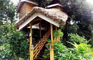 11 Top India Tree House Hotels