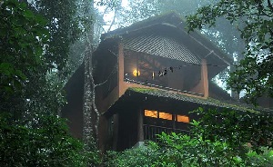 11 Top India Tree House Hotels