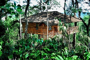 11 Top India Tree House Hotels