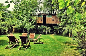 11 Top India Tree House Hotels