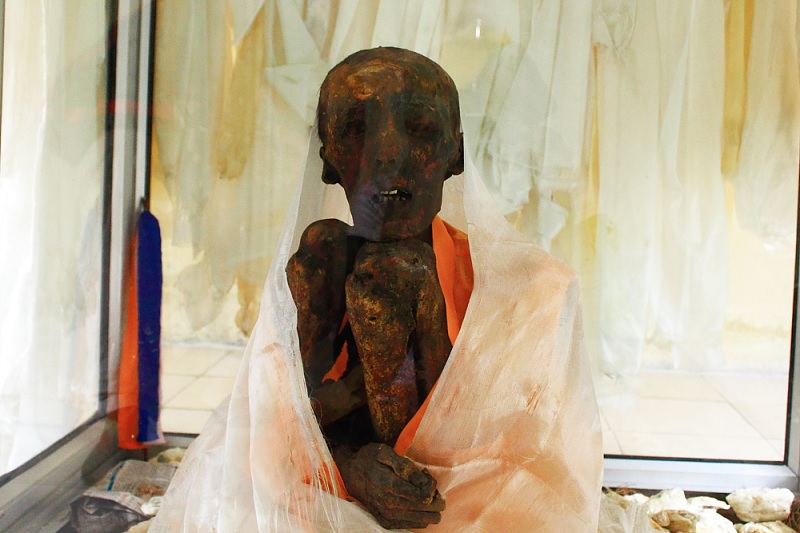 Natural Mummy of Sangha Tenzing - Gue Village, Spiti