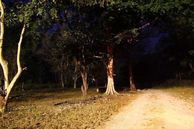 indias-most-haunted-roads-and-highways