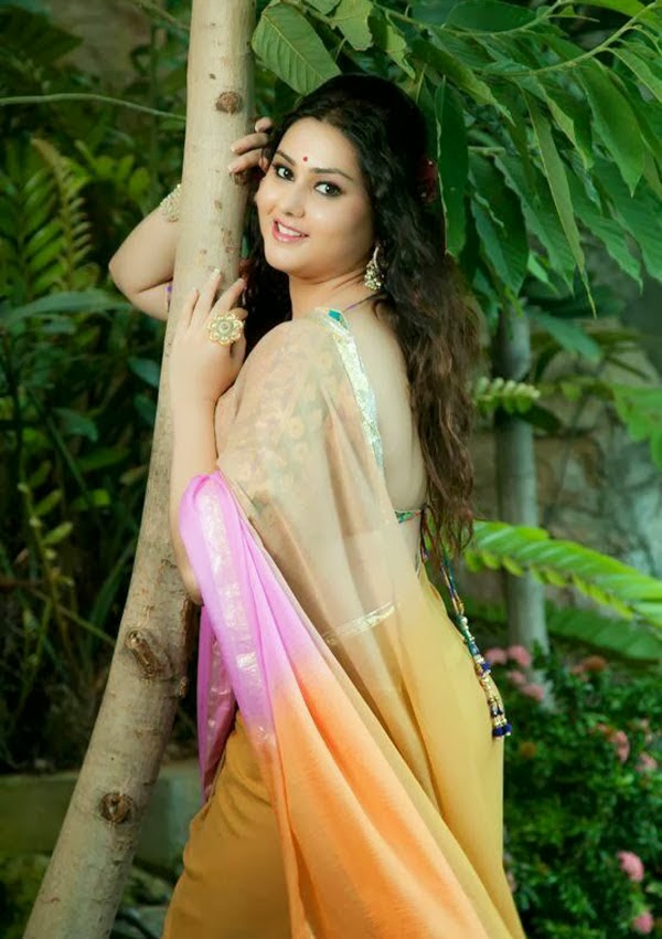 namitha-hot-in-backless-saree-blouse