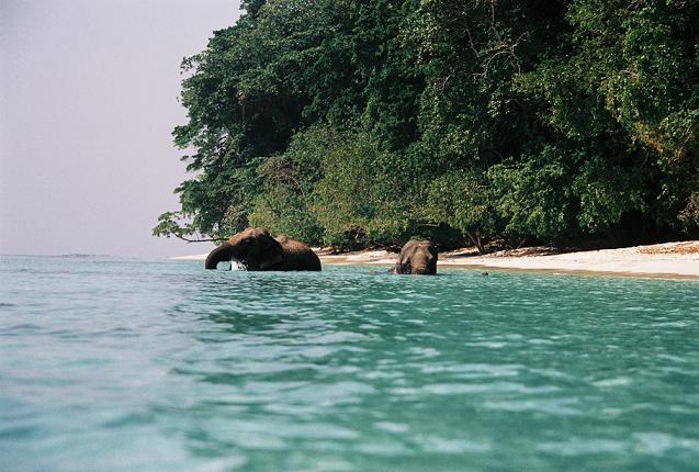 Andaman Island: The Deep Blue Sea