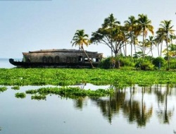 20 Amazing Things To Do In Kerala For An Incredible Holiday