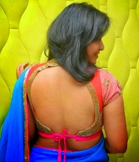 South Indian Actress Anjali Show Bare Back Backless in Transparent Saree and Blouse Pictures