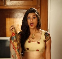 south indian actress hot navel show photos