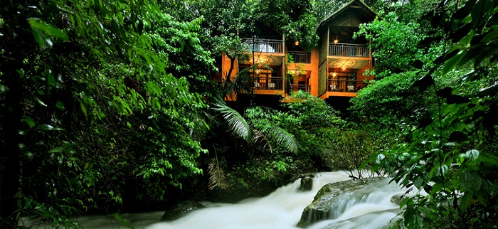 Tree House, Vythiri Resort, Wayanad