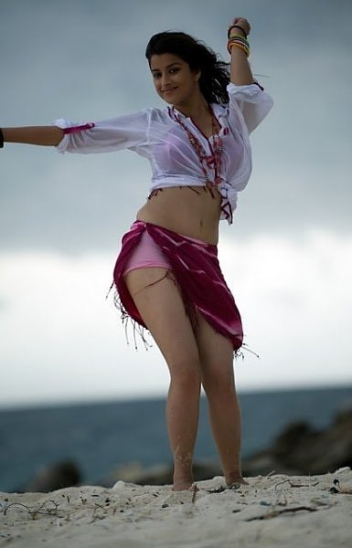 Hot South Indian actress on beach sexy wet pics in bikini
