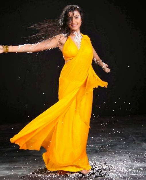 Hot Wet Tollywood Actresses Saree Pics