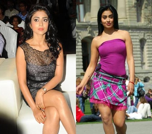Shriya Saran In Mini Skirt In Don Seenu