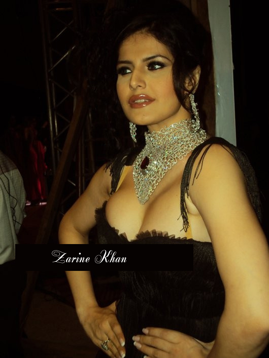 Very Hot and Sexy Zarine Khan Hate Story hd