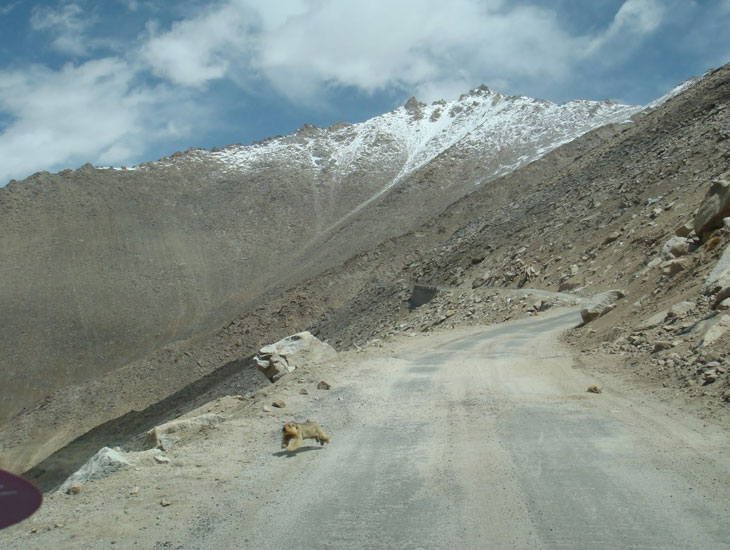 Chang La High Altitude Mountain Pass