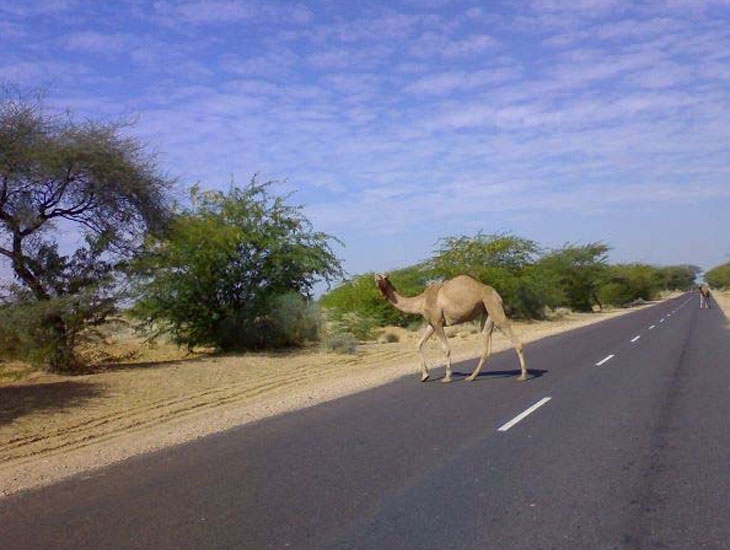 spectacular road & scenic Jaisalmer to Barmer