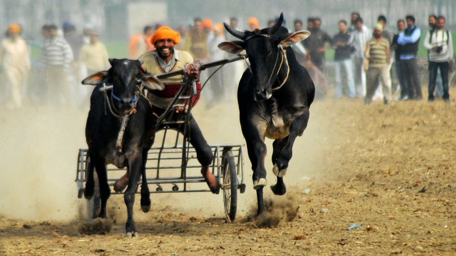 Rural Olympics Punjab