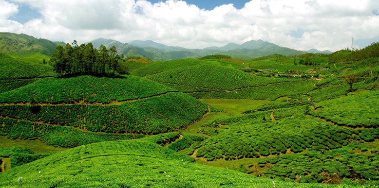 South India Hill Stations