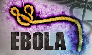 Ebola virus information in Hindi