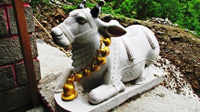 about nandi bail story