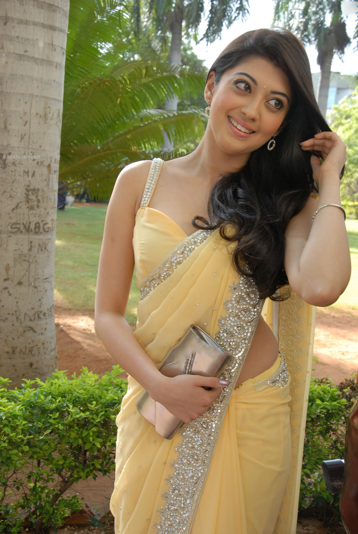 pranitha subhash in saree 