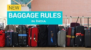 NRIs Baggage Rules in India - Baggage Rules for NRIs